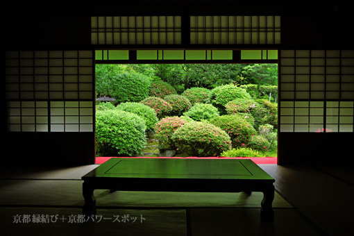 京都 安楽寺のサツキ
