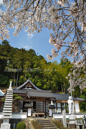 佛南寺の桜