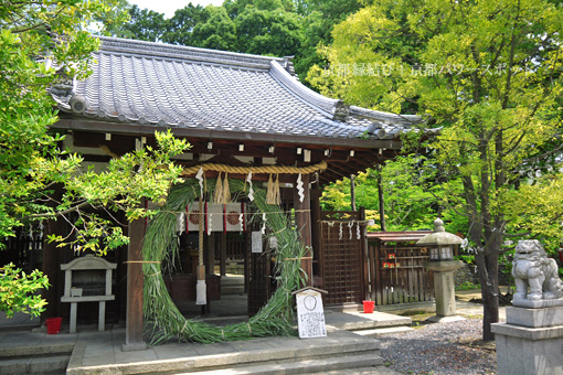 新熊野神社の茅の輪