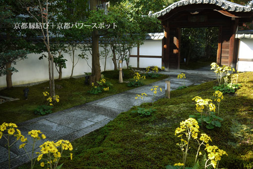 京都 圓徳院