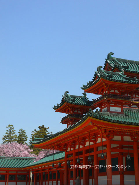 平安神宮の枝垂桜