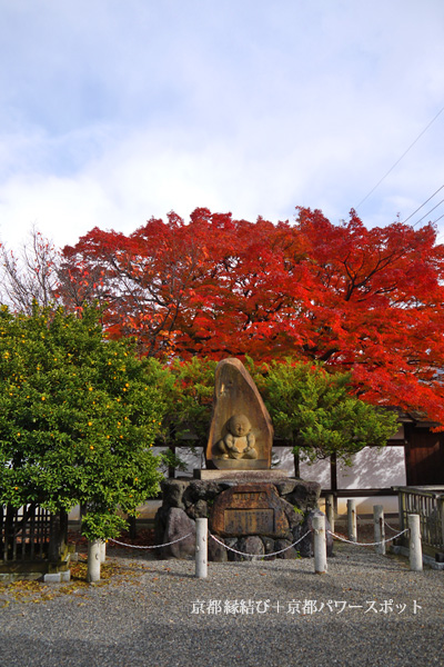宝鏡寺の紅葉