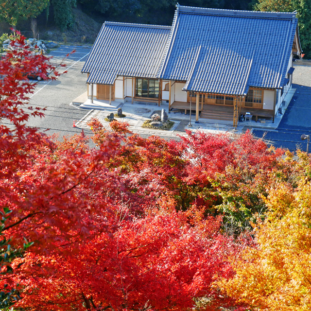 与謝野町 慈徳院の紅葉写真