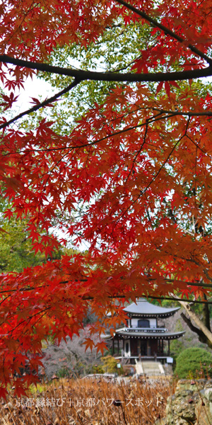 勧修寺の紅葉