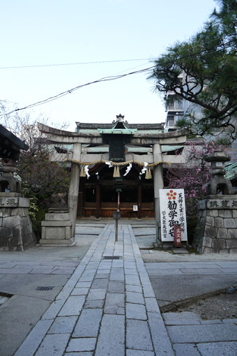 菅大臣神社の梅