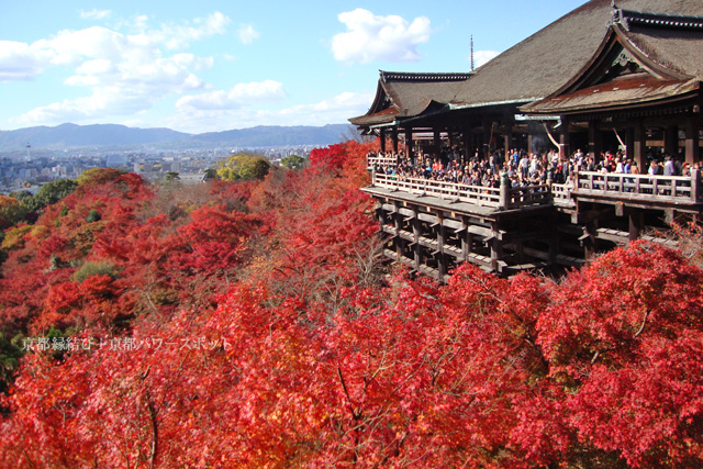 清水寺の秋