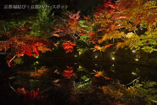 高台寺の紅葉ライトアップ