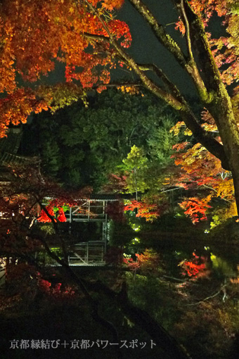 高台寺の紅葉ライトアップ