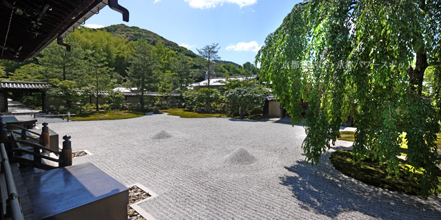 新緑の高台寺 方丈前庭