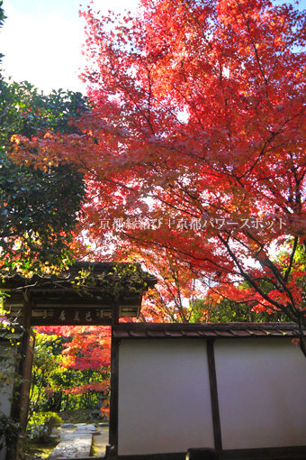 金福寺の紅葉