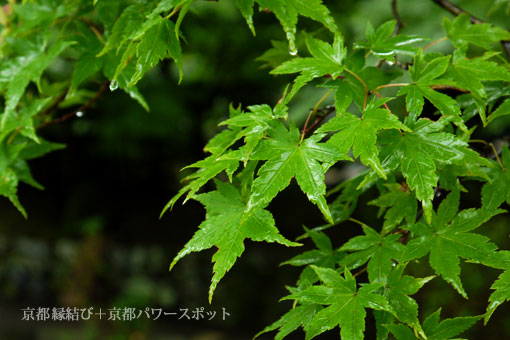 興聖寺