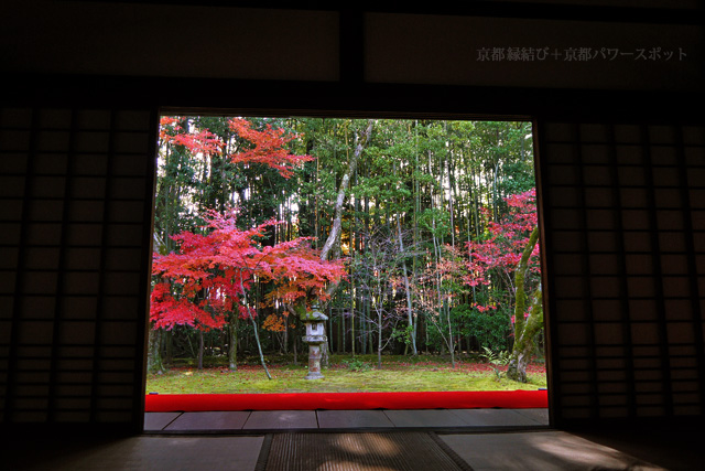大徳寺高桐院の紅葉
