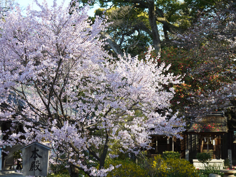 京都御苑の宗像神社