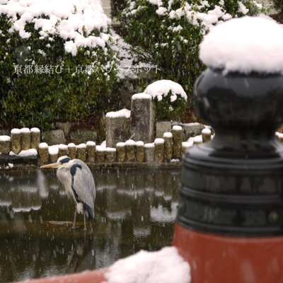 妙満寺の雪景色