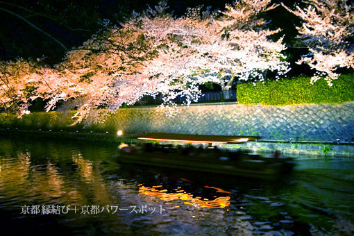 岡崎疏水の十石舟夜桜