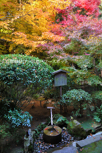 龍安寺