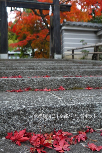 三宝寺の紅葉
