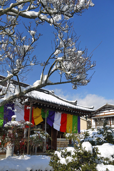 天龍寺弘源寺の雪景色