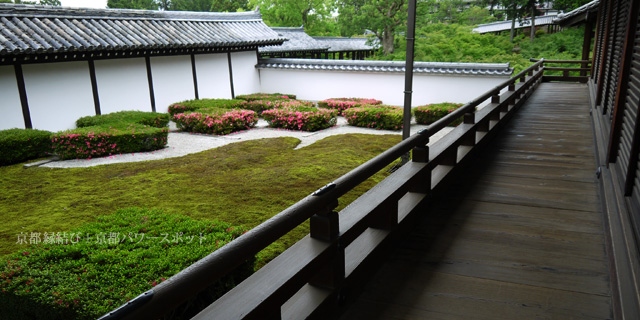 東福寺方丈のサツキ